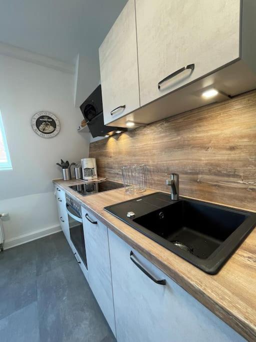 Komfortable Ferienwohnung In Halle-Kroellwitz Halle  Εξωτερικό φωτογραφία