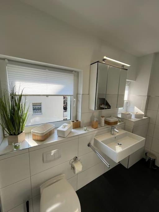 Komfortable Ferienwohnung In Halle-Kroellwitz Halle  Εξωτερικό φωτογραφία