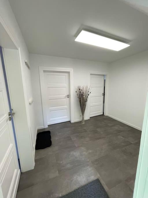 Komfortable Ferienwohnung In Halle-Kroellwitz Halle  Εξωτερικό φωτογραφία